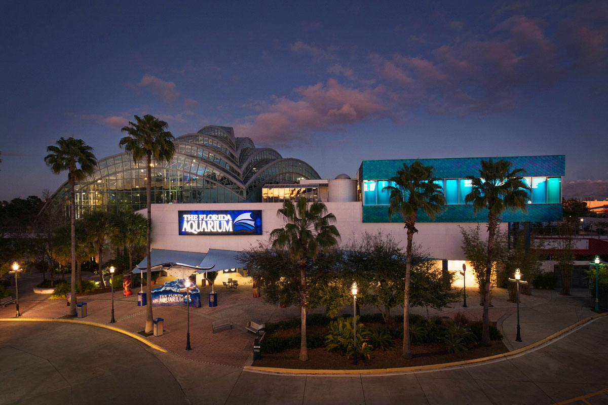 Discount coupons for tampa aquarium